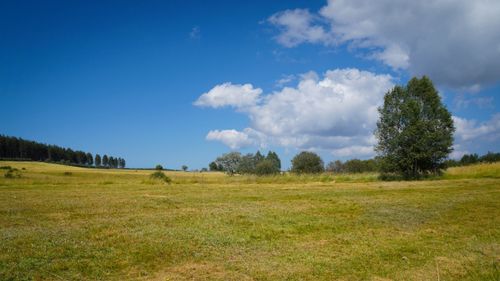 Free Serene rural landscape with open fields, bright blue sky, and lush green trees. Stock Photo