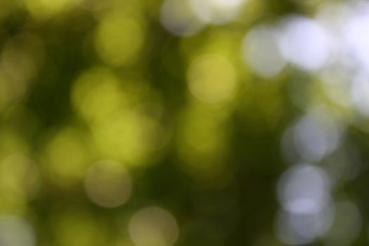 A blurred bokeh background with green and light tones, evoking a summer feel.
