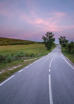 A picturesque empty road meandering through lush greenery under a vibrant pink sunset sky.