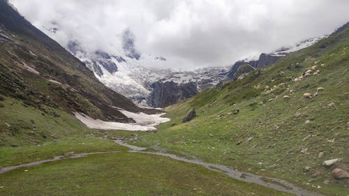 Gratis stockfoto met prachtige natuur