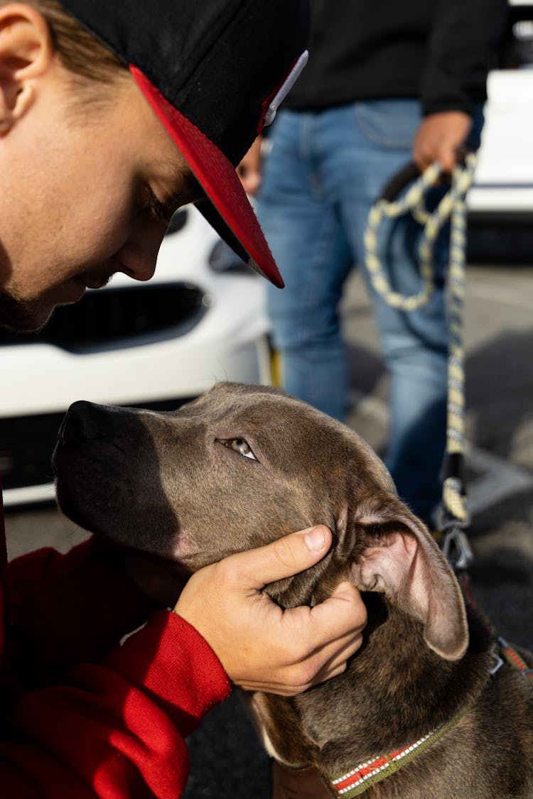 Close Up Photo Of Man Holding A Dog Near His Face