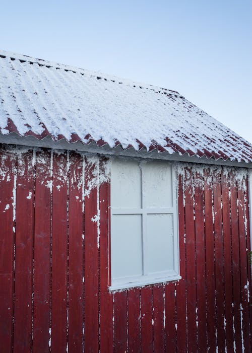 冬季, 冷, 垂直拍摄 的 免费素材图片