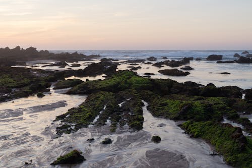 Безкоштовне стокове фото на тему «берег моря, камені, краєвид»