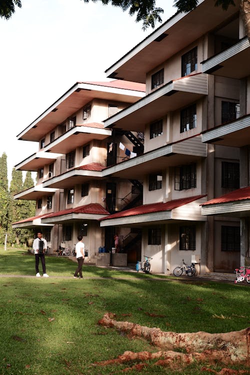 People on Grass near Buildings