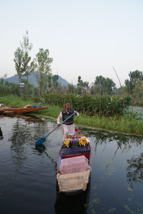 Free A man paddles a small flower-laden boat through a calm lake surrounded by lush greenery. Stock Photo