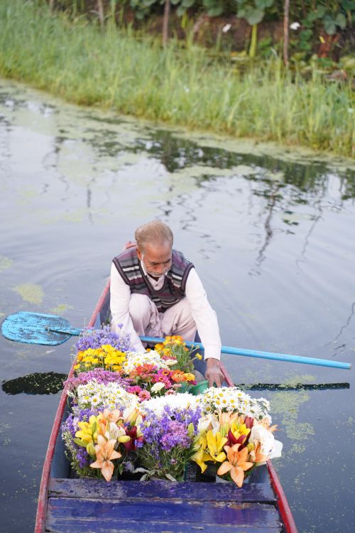 Free A serene scene of an elderly man paddling a boat filled with vibrant flowers on a calm lake. Stock Photo