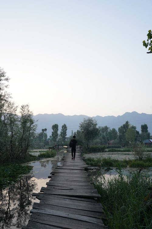 Foto d'estoc gratuïta de caminant, cel blau, medi ambient