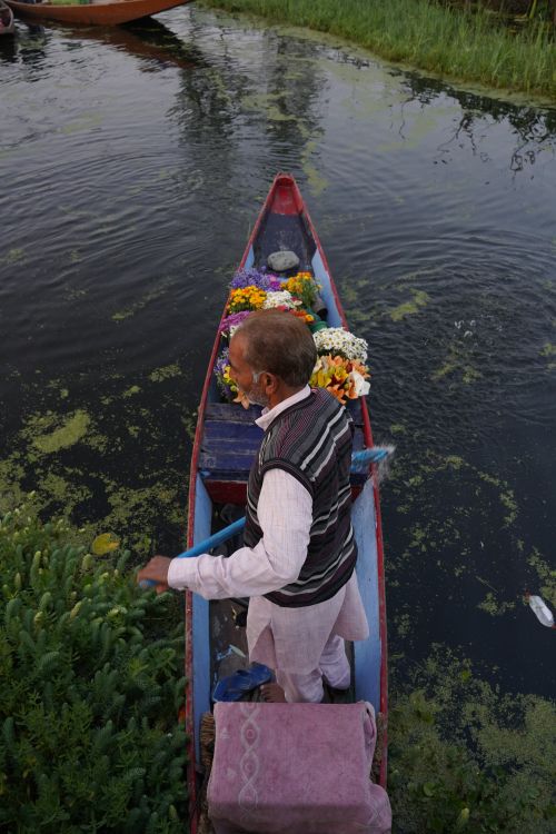 Free A man rowing a colorful boat filled with flowers on a calm river. Stock Photo