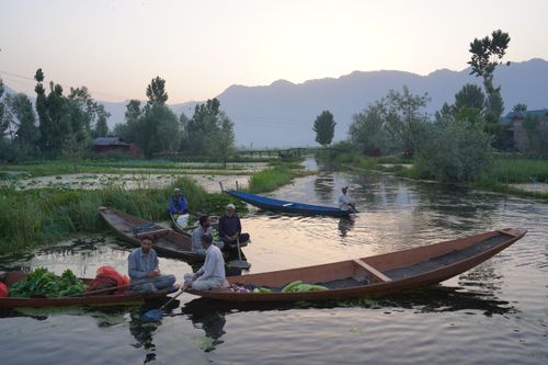 Free Men in boats gather vegetables on a peaceful village river at sunrise, surrounded by nature. Stock Photo