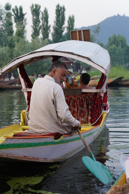 Free Man paddling a traditional boat on a calm river amidst lush greenery and distant hills. Stock Photo
