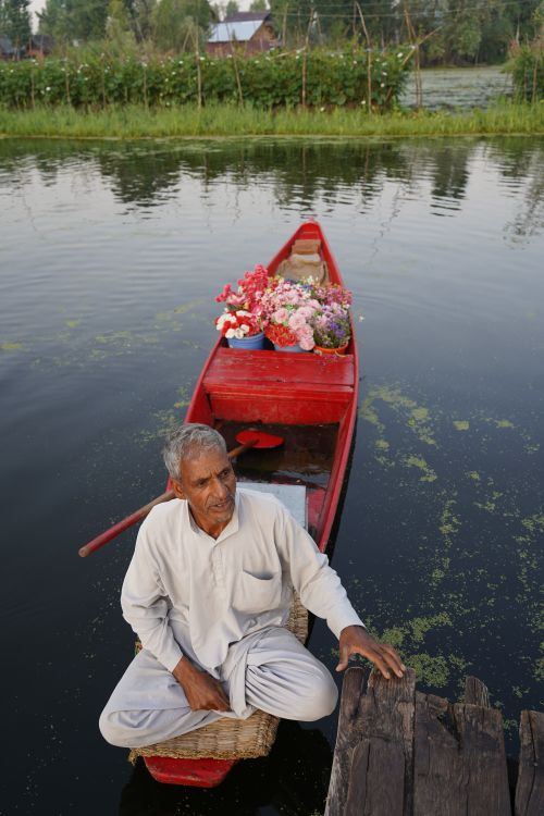 Free A Kashmiri man sits on a shikara boat with flowers on Dal Lake, India. Stock Photo