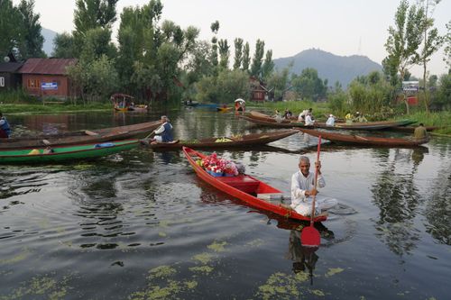 Free Men rowing boats filled with flowers on a tranquil river surrounded by lush greenery. Stock Photo