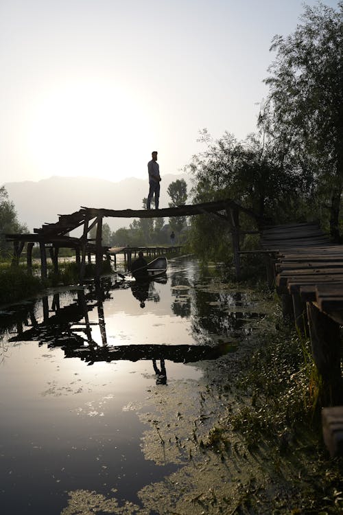 Foto d'estoc gratuïta de dempeus, home, medi ambient