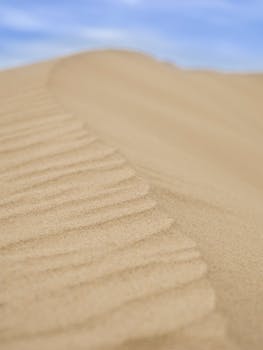 Explore the tranquil beauty of sand dunes at Barra de Valizas, Uruguay under a clear blue sky.
