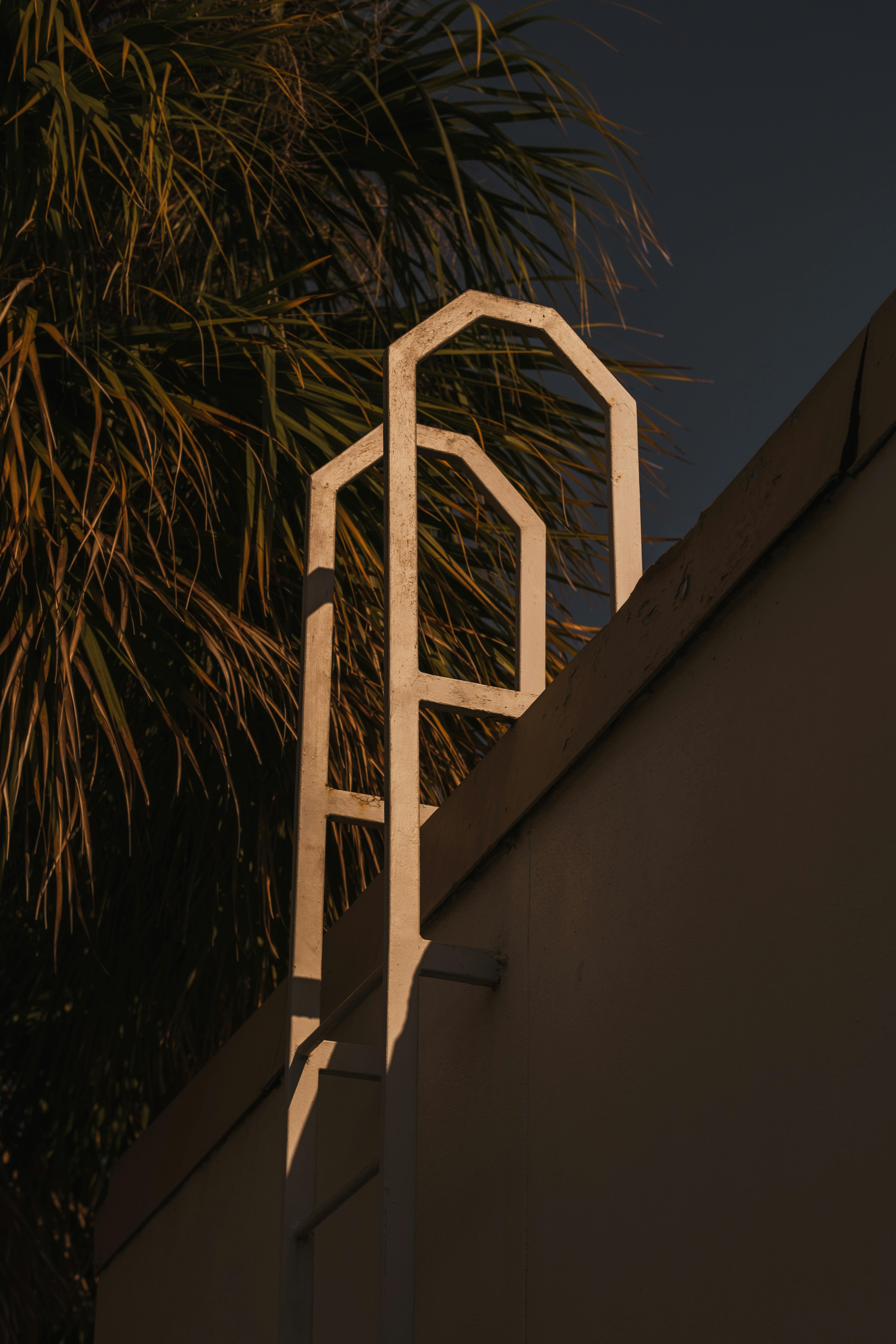 a ladder is leaning against a wall with palm trees in the background