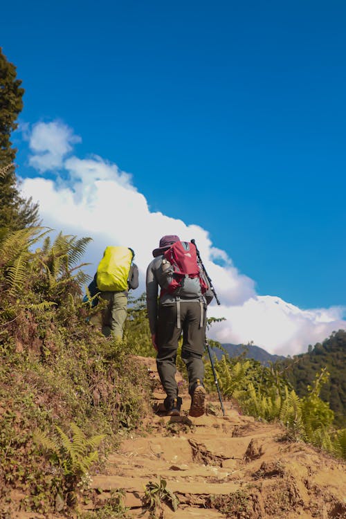 Men Doing Hiking