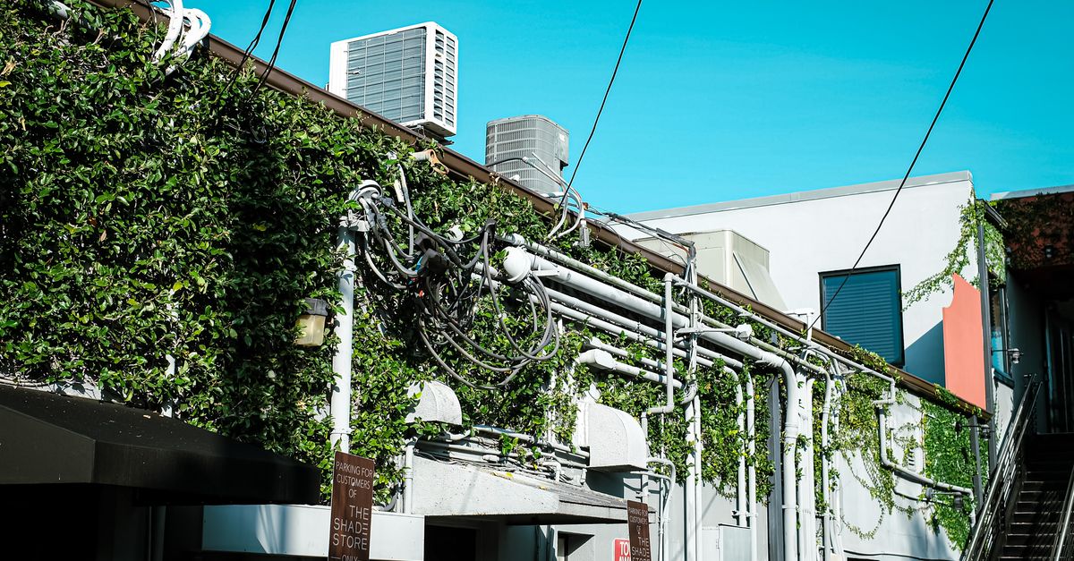 Bonner Electric project