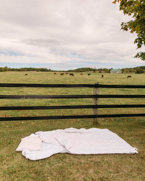 White Blanket on Green Grass Field