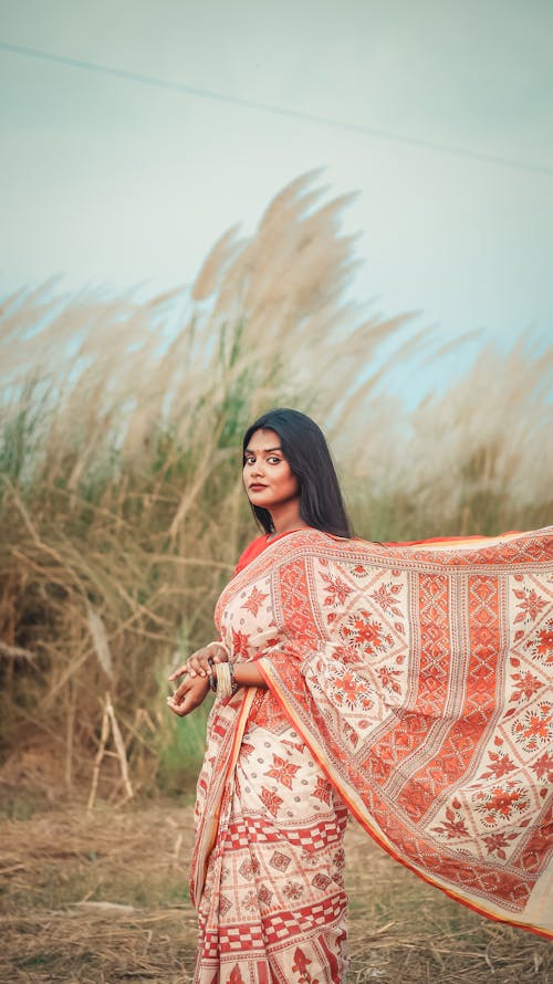 A Woman Modeling in Traditional Indian Clothing