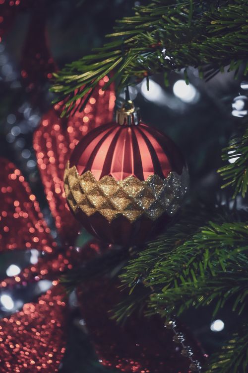 Free Close-up of a decorative Christmas bauble hanging on pine tree, evoking festive spirit. Stock Photo