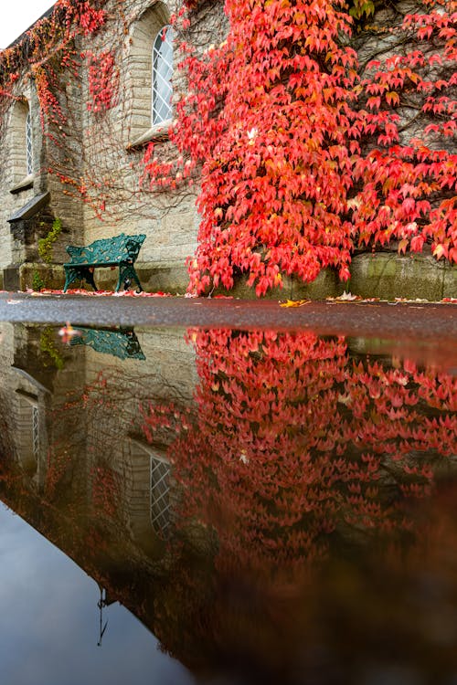 Free stock photo of autumn, bench, church