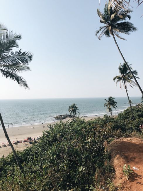 Serene tropical beach view with palm trees, coastline, and clear skies.
