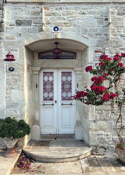 Potted Plants Between a Doorway