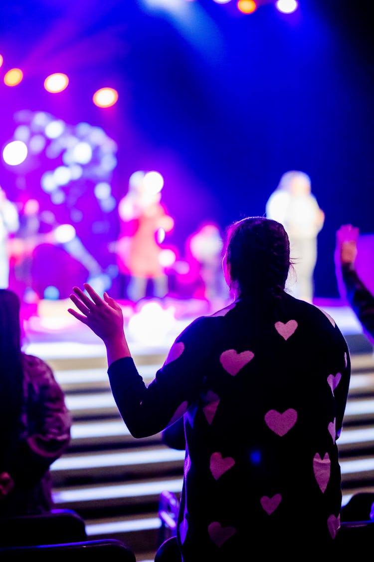 Back View Of A Person Watching A Concert