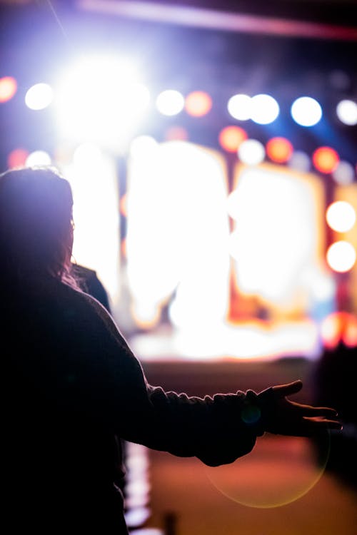 Back View of a Person Watching a Concert