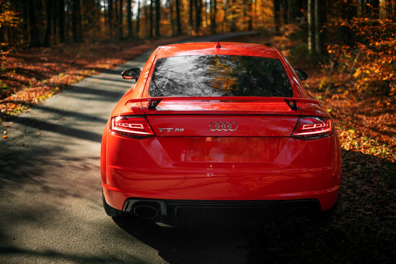 stunning red sports car driving through an autumn forest with colorful