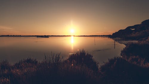 Fotobanka s bezplatnými fotkami na tému hnedá, horizont, jazero