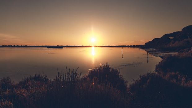 Tranquil Pond at Sunrise
