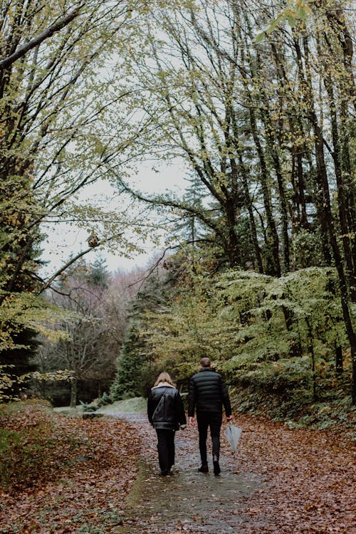 Free Back View of a Man and Woman Walking in a Park in Autumn  Stock Photo