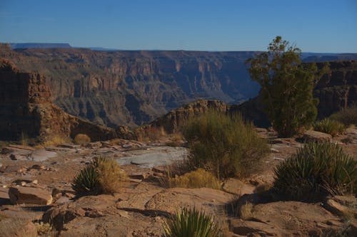 Fotobanka s bezplatnými fotkami na tému arídny, cestovať, grand canyon