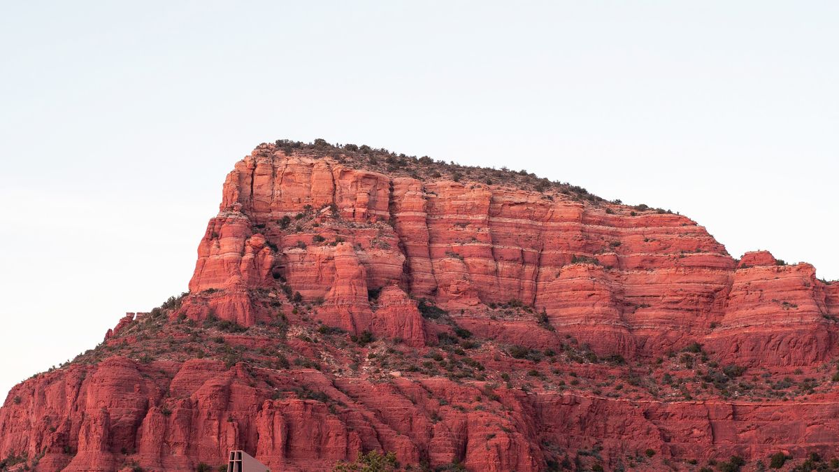 Best Free Samples in Mesa, AZ: 2026 Local Guide