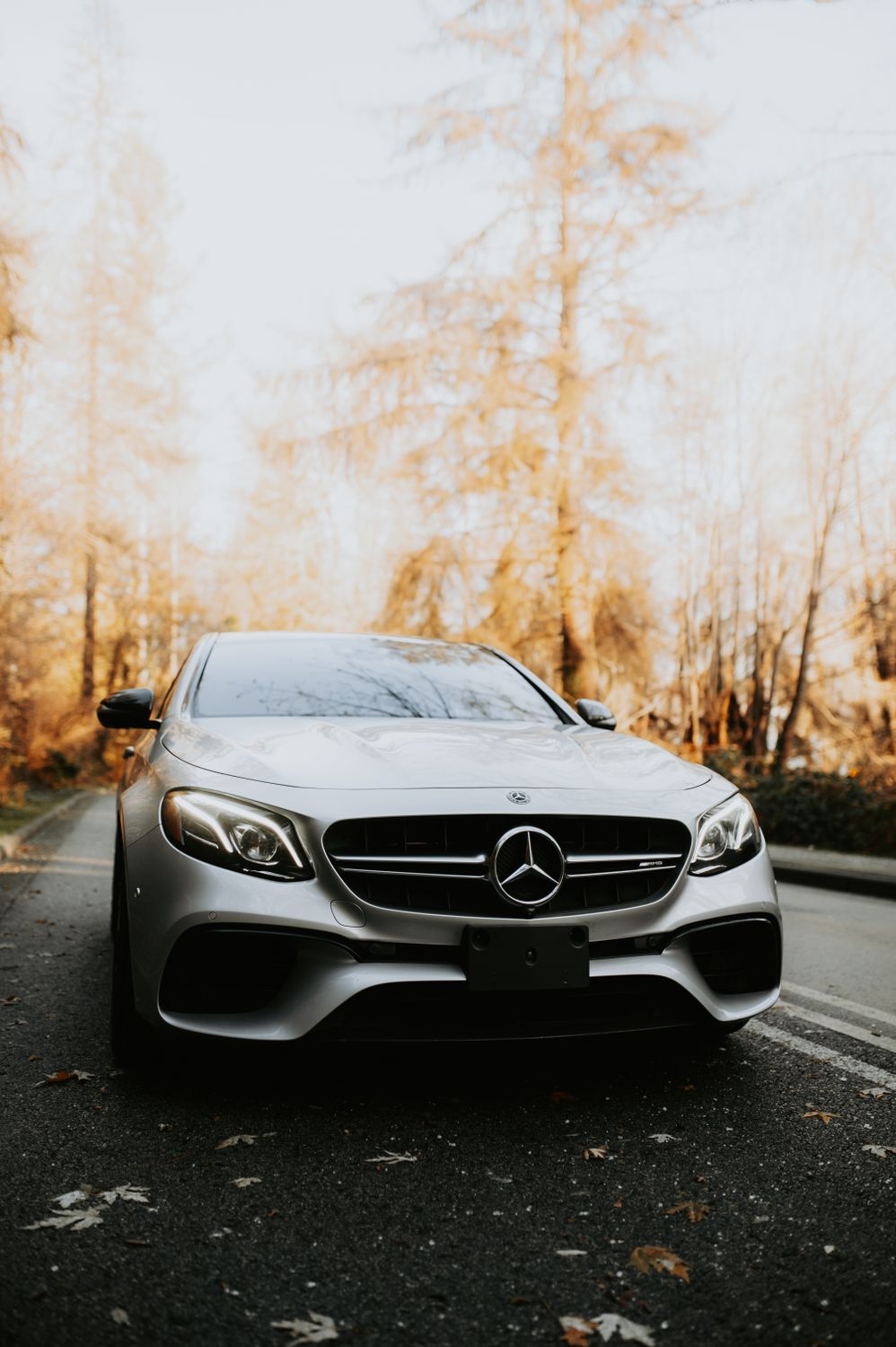 A Car on the Road · Free Stock Photo