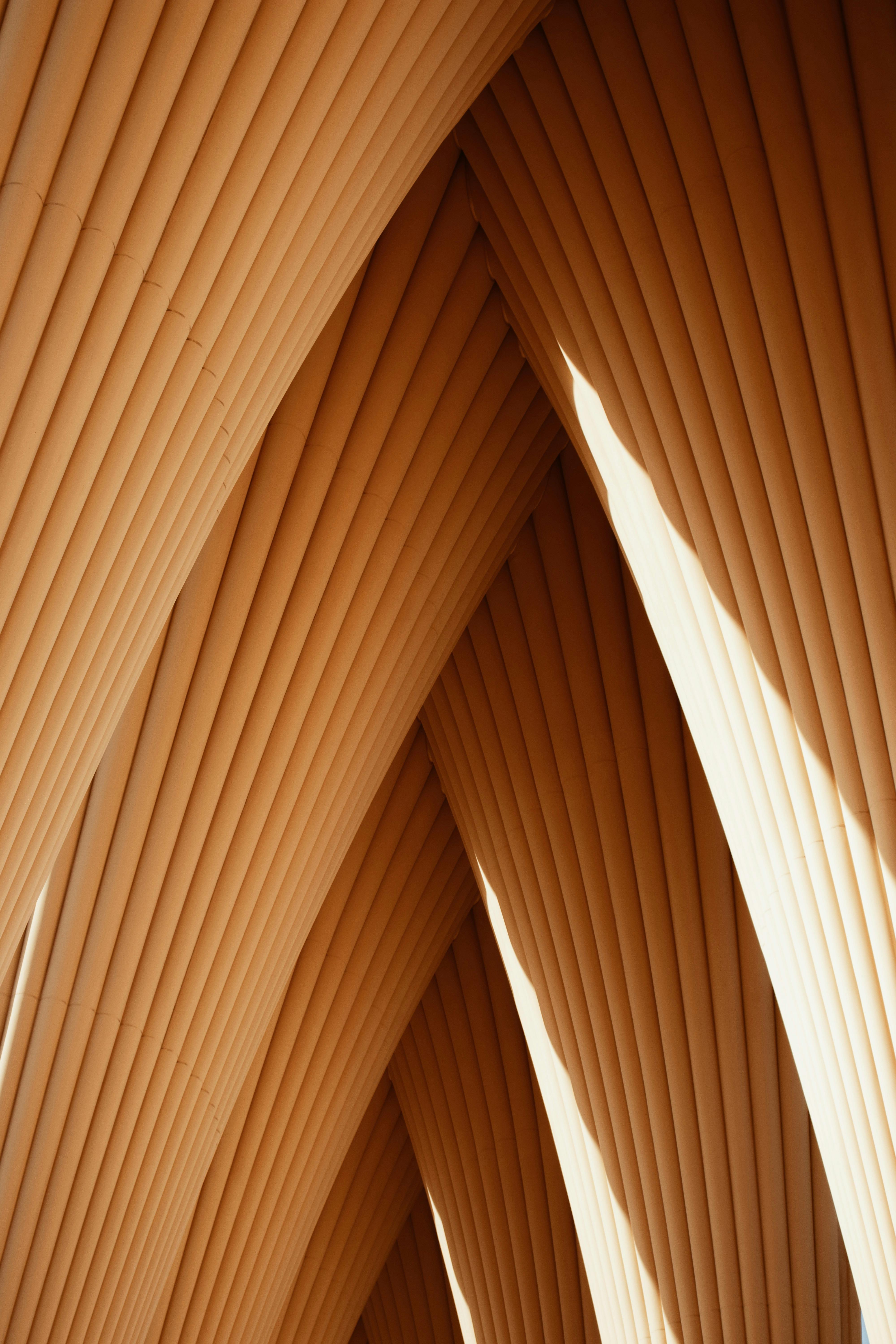 Curved geometric structures in a modern architectural design with natural lighting.