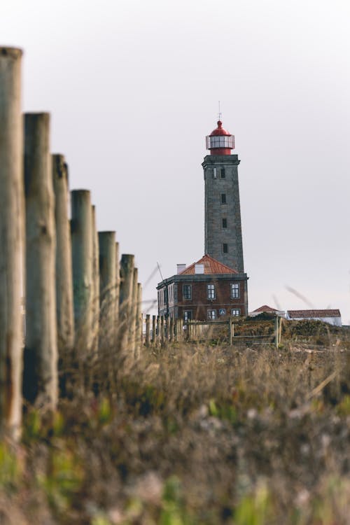 Gratis lagerfoto af fyrtårn, lodret skud, selektivt fokus