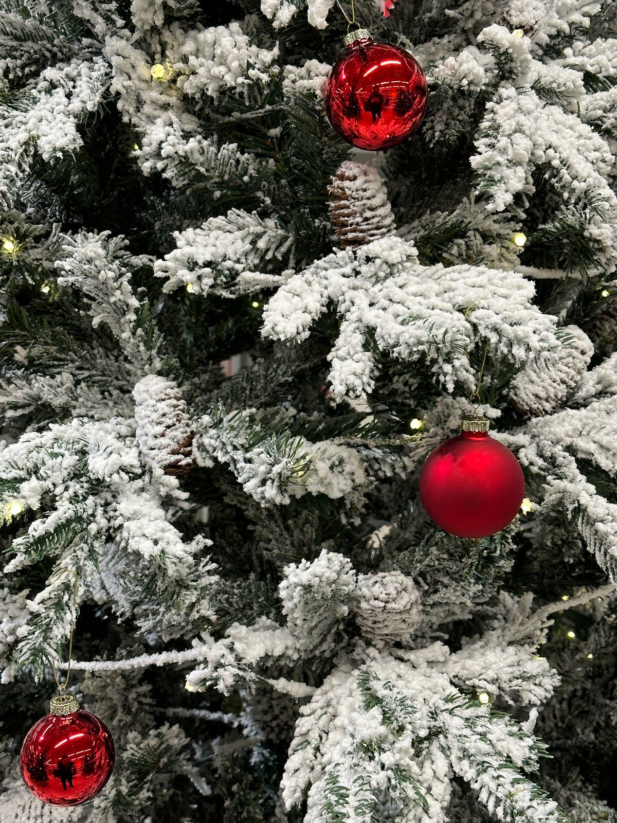 Snow-frosted Christmas tree close-up with red ornaments and pinecones