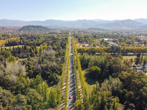 Free Aerial View of a Highway Road Between Trees and Woods Stock Photo