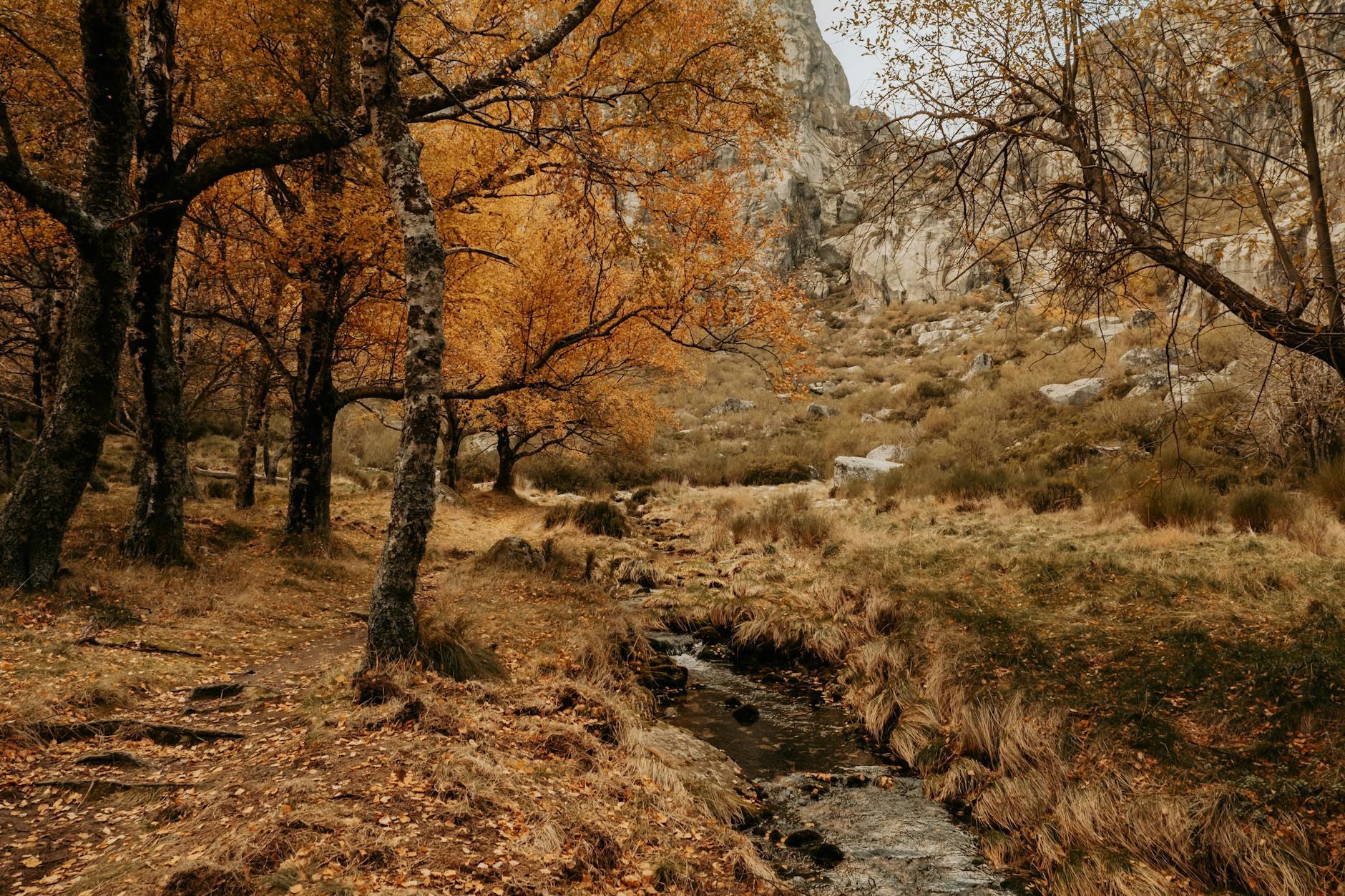 Popular sights in Manteigas Landmarks in Manteigas