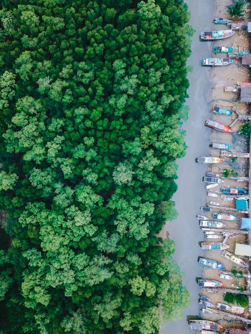 Free Explore Chukai Terengganu's vibrant forest and colorful boats from above in this breathtaking aerial shot. Stock Photo