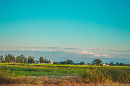 Fotos de stock gratuitas de campo verde, cielo limpio, cielos azules