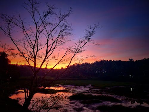 Kostenloses Stock Foto zu abend, abendhimmel, abendsonne