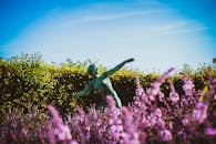 晴朗的蓝天下，一座雕像矗立在开满紫色花朵的迷人花园中