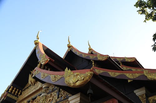 Golden Roof of Buddhist Temple