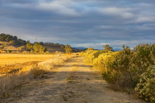 Kostenloses Stock Foto zu außerorts, feldweg, landschaft