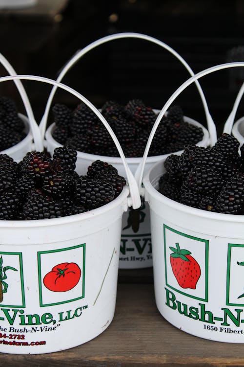 Photo of White Containers with Blackberries