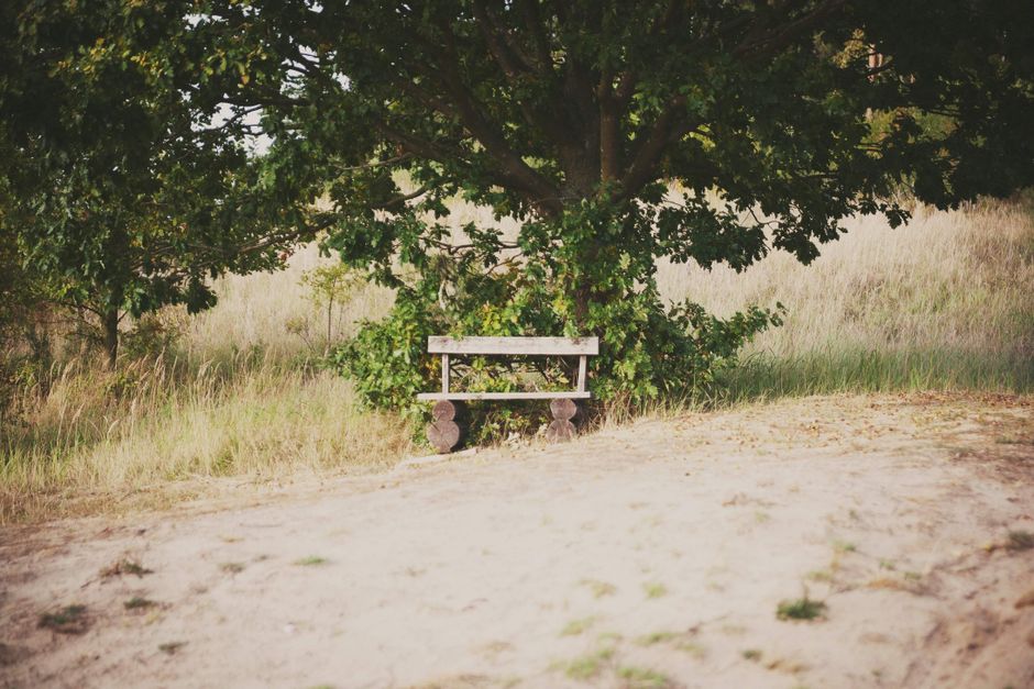 A cozy wooden bench under a tree in the scenic Polish countryside during summer.