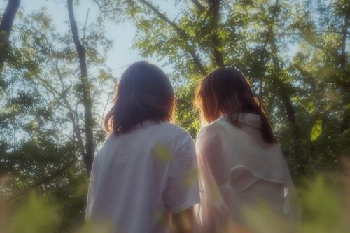 Free Back view of two women in a sunlit forest, embracing nature and friendship. Stock Photo
